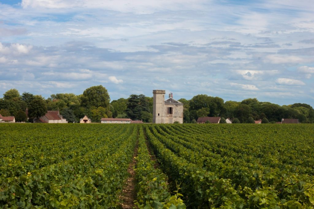 vin de bourgogne